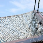 IMG_9664 copie